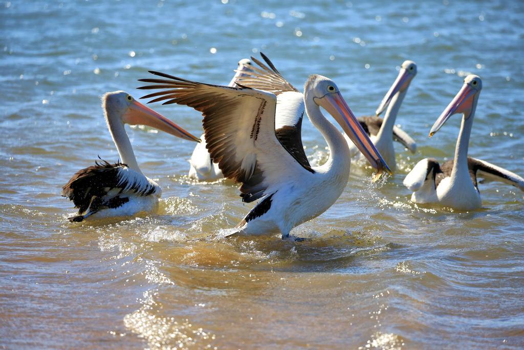 Alva Beach Tourist Park Kültér fotó